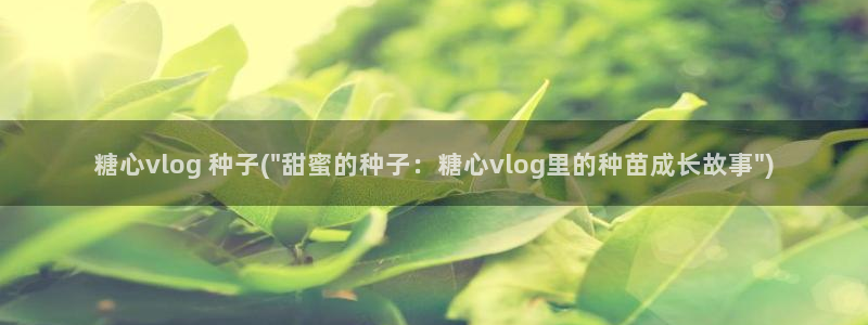 糖心Vlog-NANA：糖心vlog 种子(\