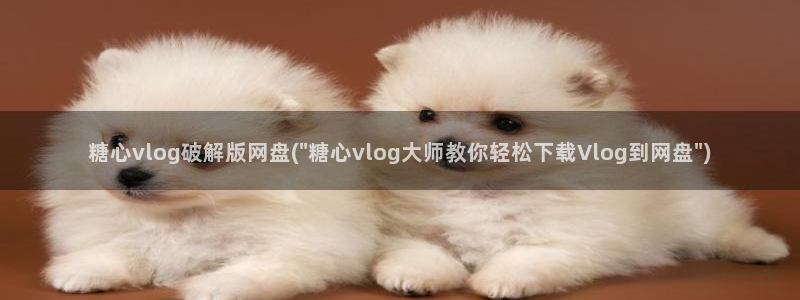 糖心vlog丽江夫妇：糖心vlog破解版网盘(\