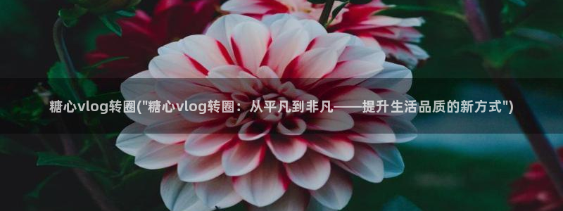 糖心vlog up：糖心vlog转圈(\