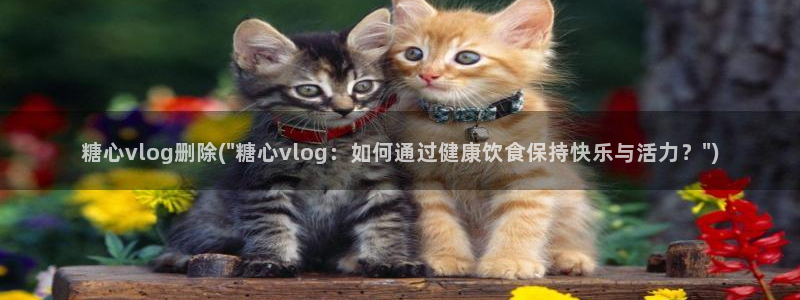 糖心vlog纹身女：糖心vlog删除(\