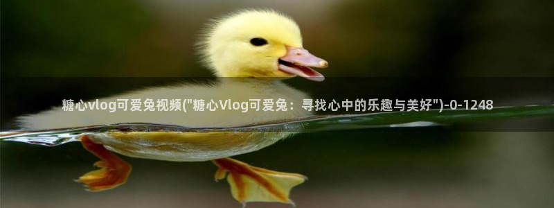 糖 心vlog火车：糖心vlog可爱兔视频(\