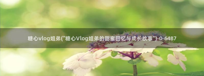 糖心原创vlog在线：糖心vlog姐弟(\