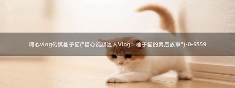 糖心vlog丽江夫妻