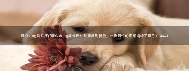 vlog糖心官方入口