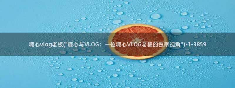 成人Vlog糖心h