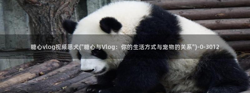 糖心vlog怎么注销：糖心vlog视频恶犬(\