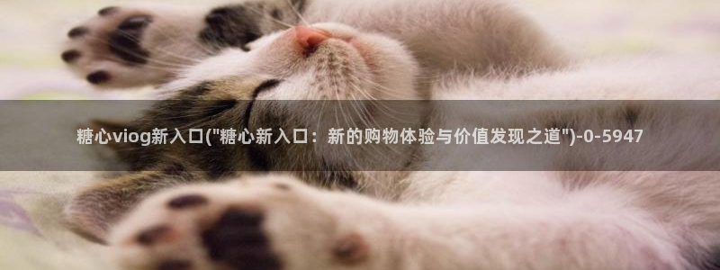 糖心vlog在线观看星辰