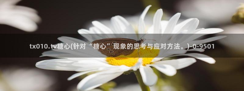 心糖vlog在线