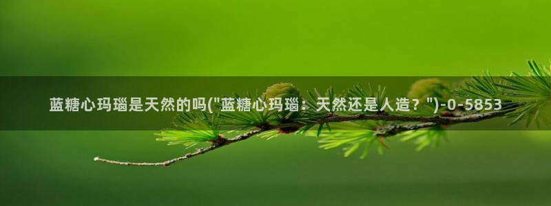 许木学长糖心vlog