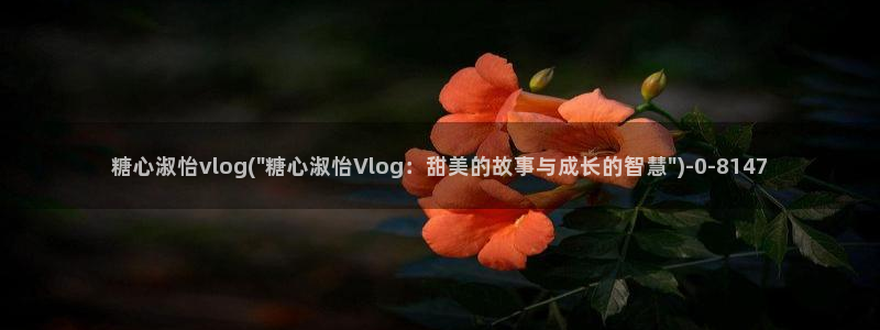 糖心vlog完整版