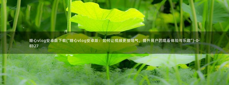糖心入口vlog