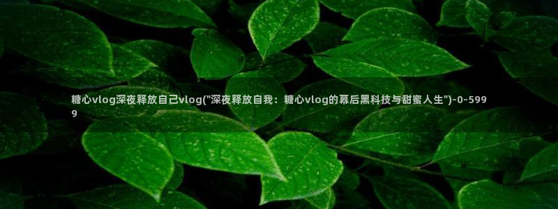糖心vlog在线免费