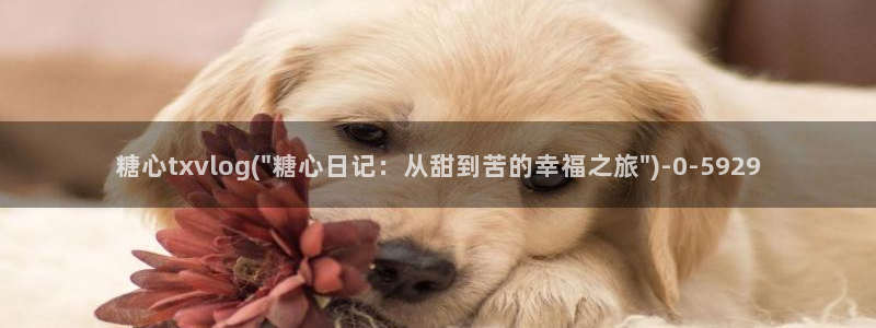 糖心vlog app破解版