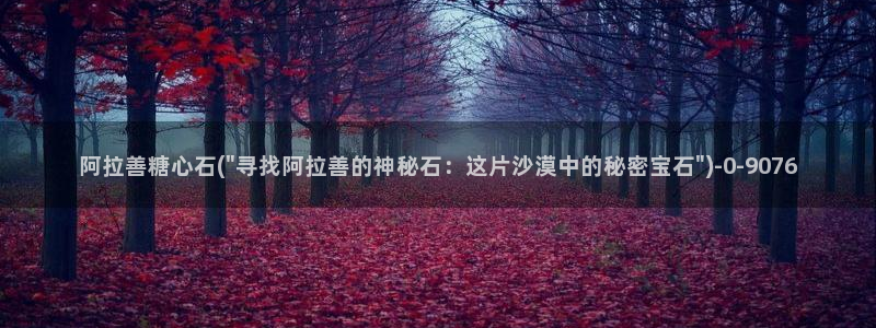 糖心视频vlog深夜释放自己下载：阿拉善糖心石(\