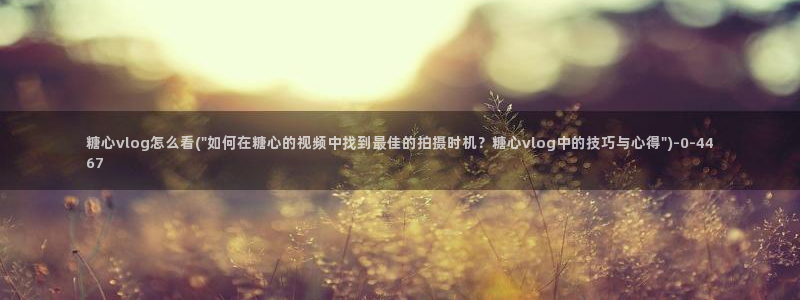 糖心vlog白虎