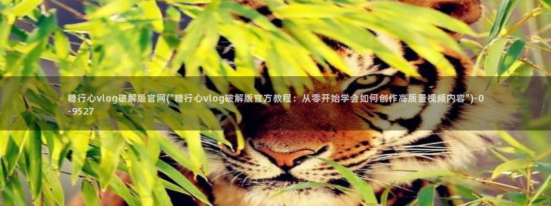 糖心vlog时间：糖行心vlog破解版官网(\