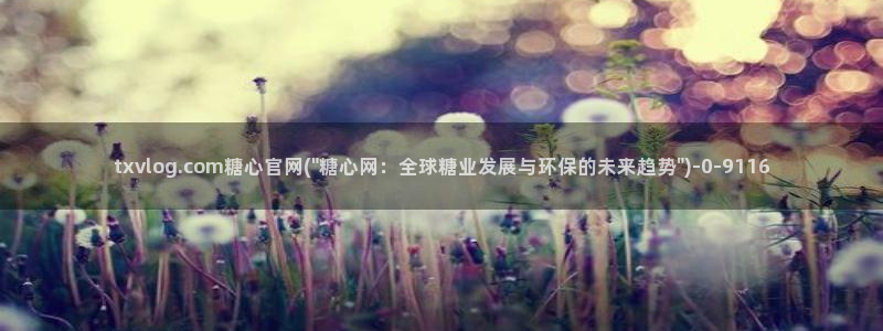 糖心vlog工作室