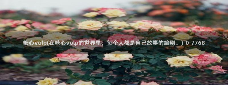 糖心vlog官网进入