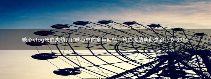 vlog糖心网站