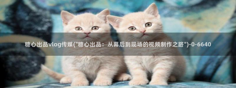 糖心vlog是哪里的