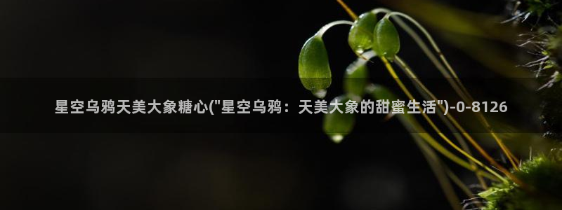 糖心成年版糖心vlog 葫芦