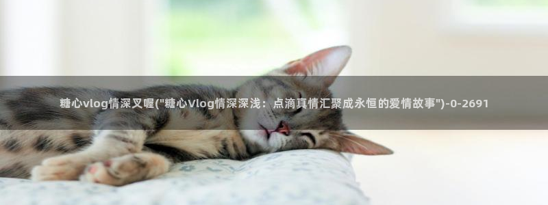糖心视频vlog深夜释放自己下载