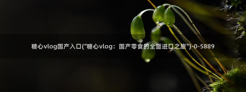 糖心vlog免费下载网站