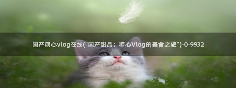糖心vlog直接进入