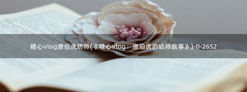 糖心vlog网站进入
