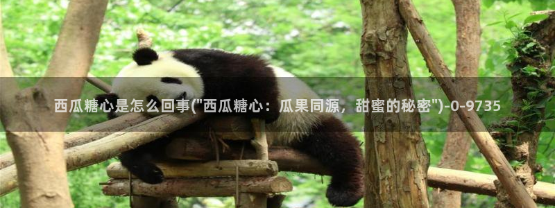 糖心vlog免费软件